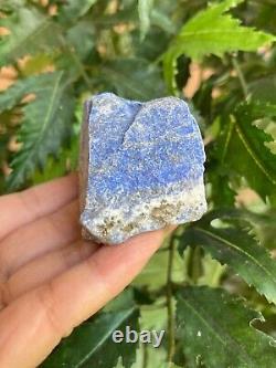 Grade A+ Large Lapis Lazuli Raw Stone 2-3 Inches, Wholesale Bulk Lot