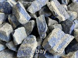 Grade A+ Large Lapis Lazuli Raw Stone 2-3 Inches, Wholesale Bulk Lot