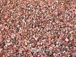 Grade A++ Rhodochrosite Semi Tumbled Gemstone Mini Chips 3 5mm, Wholesale Bulk