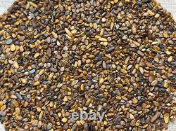 Grade A++ Tiger Eye Semi Tumbled Gemstone Mini Chip 2-5 mm, Wholesale Bulk Lot