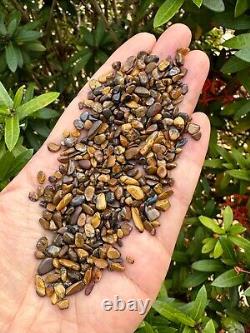 Grade A++ Tiger Eye Semi Tumbled Gemstone Mini Chip 2-5 mm, Wholesale Bulk Lot