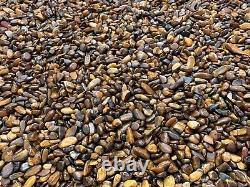 Grade A++ Tiger Eye Semi Tumbled Gemstone Mini Chip 2-5 mm, Wholesale Bulk Lot