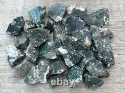 Grade A+ Tree Agate Rough Stones, Raw Tree Agate Crystals, Wholesale Bulk Lot