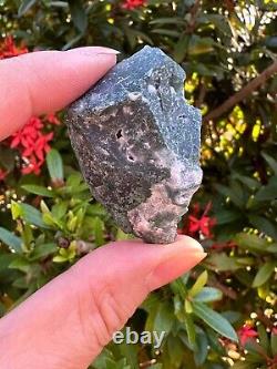 Grade A+ Tree Agate Rough Stones, Raw Tree Agate Crystals, Wholesale Bulk Lot