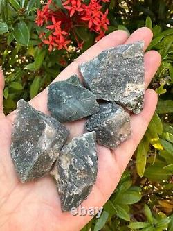 Grade A+ Tree Agate Rough Stones, Raw Tree Agate Crystals, Wholesale Bulk Lot