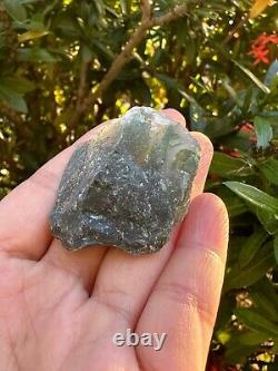 Grade A+ Tree Agate Rough Stones, Raw Tree Agate Crystals, Wholesale Bulk Lot