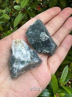 Grade A+ Tree Agate Rough Stones, Raw Tree Agate Crystals, Wholesale Bulk Lot