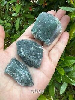 Grade A+ Tree Agate Rough Stones, Raw Tree Agate Crystals, Wholesale Bulk Lot