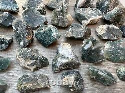 Grade A+ Tree Agate Rough Stones, Raw Tree Agate Crystals, Wholesale Bulk Lot