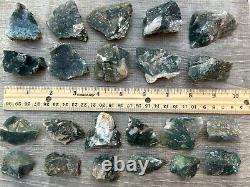 Grade A+ Tree Agate Rough Stones, Raw Tree Agate Crystals, Wholesale Bulk Lot
