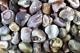 Gray Botswana Agate Rough Rocks For Tumbling Bulk Wholesale 1 Lb+ Options