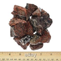 Halloween Stone Rough Rocks for Tumbling Wholesale Stone Crystal (Mexico)