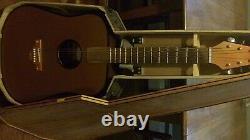 Handmade Acoustic Guitars (Rare Guitar Collection of 18 instruments + cases)