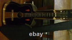 Handmade Acoustic Guitars (Rare Guitar Collection of 18 instruments + cases)