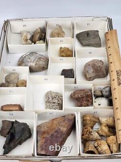 Invertebrate 31 Fossil Bulk Lot Unknown Locality Wholesale