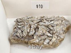 Invertebrate 31 Fossil Bulk Lot Unknown Locality Wholesale