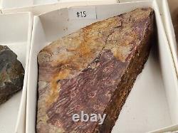 Invertebrate 31 Fossil Bulk Lot Unknown Locality Wholesale