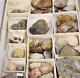 Invertebrate 47 Fossil Bulk Lot Unknown Locality Wholesale