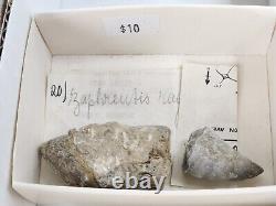 Invertebrate 47 Fossil Bulk Lot Unknown Locality Wholesale