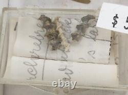 Invertebrate 47 Fossil Bulk Lot Unknown Locality Wholesale