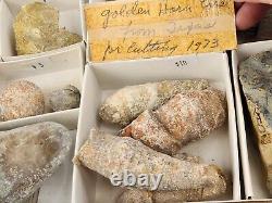 Invertebrate 47 Fossil Bulk Lot Unknown Locality Wholesale