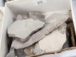 Invertebrate 49 Fossil Bulk Lot Unknown Locality Wholesale