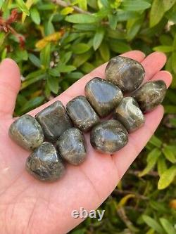 Labradorite Tumbled Stones, 0.75-1 Inch Tumbled Labradorite Stones, Wholesale Lot
