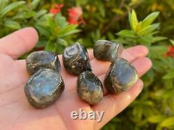 Labradorite Tumbled Stones, 0.75-1 Inch Tumbled Labradorite Stones, Wholesale Lot