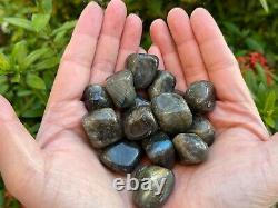 Labradorite Tumbled Stones, 0.75-1 Inch Tumbled Labradorite Stones, Wholesale Lot