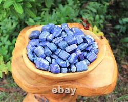 Lapis Lazuli Tumbled Stones 5lb Premium'A' Grade Wholesale Bulk Lot