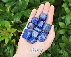 Lapis Lazuli Tumbled Stones 5lb Premium'A' Grade Wholesale Bulk Lot