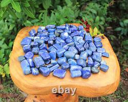 Lapis Lazuli Tumbled Stones 5lb Premium'A' Grade Wholesale Bulk Lot