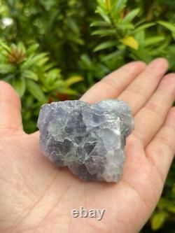 Large Green Fluorite Raw Natural Stone 2 2.5 inches, Wholesale Bulk Lot