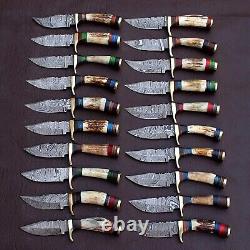 Lot Of 20pcs, 6'' Inch Skinner Knife Stag Horn Handle Handmade Damascus Steel