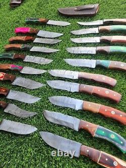 Lot Of 20pcs, 8'' Inch Skinner Knife Hand Forged Damascus Steel