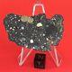 Lunar 18.40g Moon End Piece Not Yet Classified Wholesale By Meteorite Men Steve