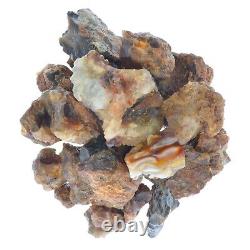 Mine Run Unsearched Fire Agate Stones Wholesale Mine Direct Rocks Mineral (Mx)