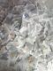 Mixed Lot Of 100 Real Butterflies Tropical! Ships From Usa! Bulk, Wholesale