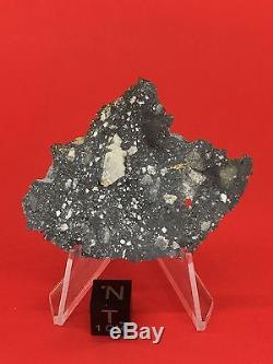 NWA 10823 Lunar Meteorite 4.88g Moon Full Slice Wholesale by Meteorite Men Steve