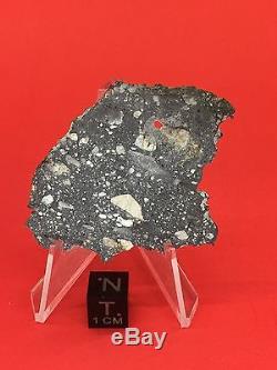 NWA 10823 Lunar Meteorite 4.88g Moon Full Slice Wholesale by Meteorite Men Steve