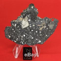 NWA 10823 Lunar Meteorite 5.06g Moon Full Slice Wholesale by Meteorite Men Steve