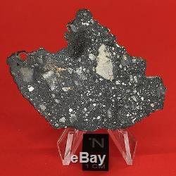 NWA 10823 Lunar Meteorite 5.06g Moon Full Slice Wholesale by Meteorite Men Steve