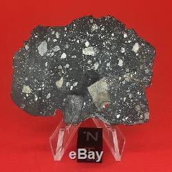 NWA 10823 Lunar Meteorite 5.82g Moon Full Slice Wholesale by Meteorite Men Steve