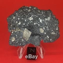 NWA 10823 Lunar Meteorite 5.82g Moon Full Slice Wholesale by Meteorite Men Steve