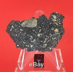 NWA 10823 Lunar Meteorite 8.70g Moon Full Slice Wholesale by Meteorite Men Steve
