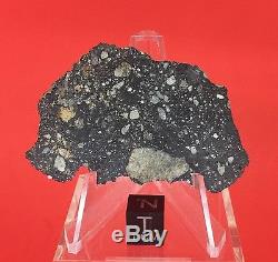 NWA 10823 Lunar Meteorite 8.70g Moon Full Slice Wholesale by Meteorite Men Steve