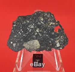 NWA 10823 Lunar Meteorite 9.92g Moon Full Slice Wholesale by Meteorite Men Steve