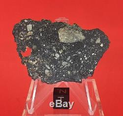 NWA 10823 Lunar Meteorite 9.92g Moon Full Slice Wholesale by Meteorite Men Steve