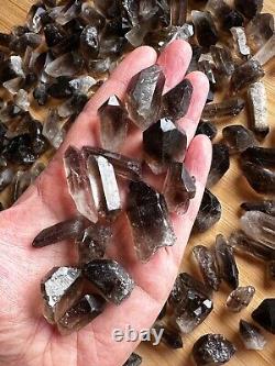 Natural Smoky Quartz Crystal Points, Small Smoky Quartz Point, Wholesale Bulk Lot
