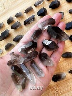 Natural Smoky Quartz Crystal Points, Small Smoky Quartz Point, Wholesale Bulk Lot